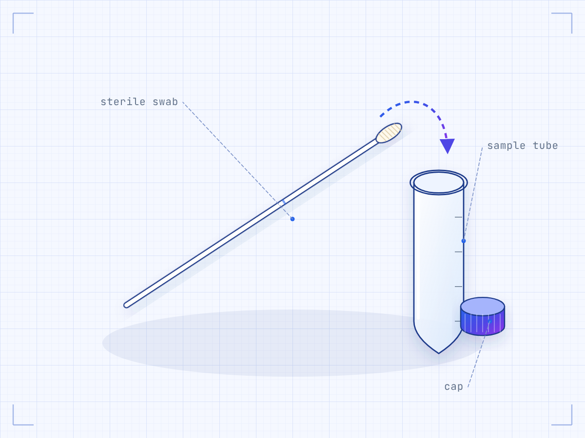 Illustration: sterile swab and sample tube
