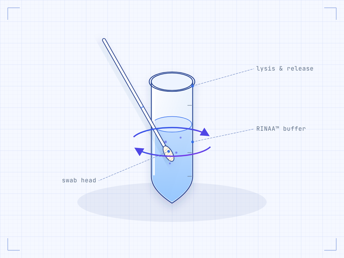 Illustration: swab swirled in a tube of RINAA buffer